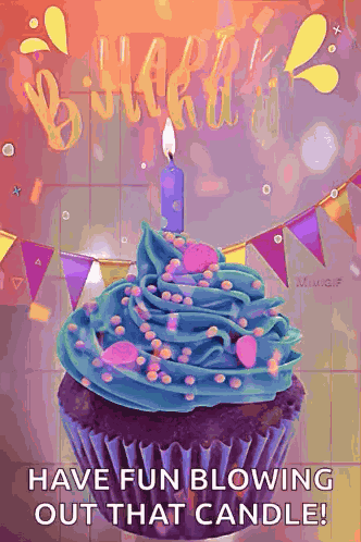 Happy Birthday Birthday Wishes GIF