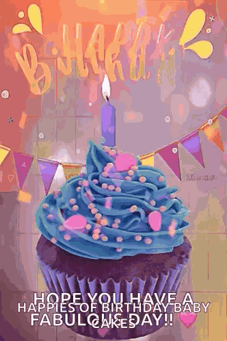 Happy Birthday Birthday Wishes GIF