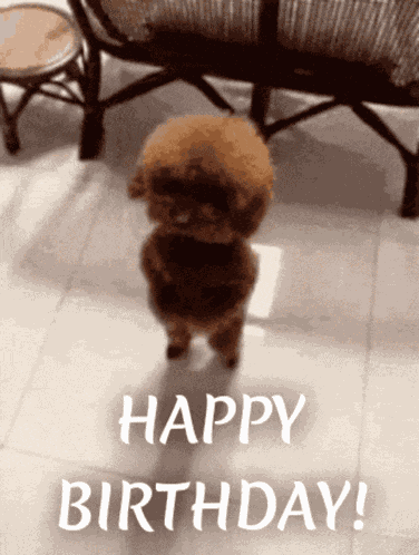Happy Birthday Brown Puppy GIF