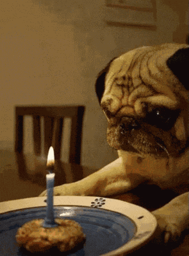 Happy Birthday GIF