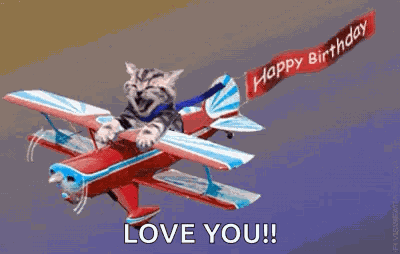 Happy Birthday Cat GIF