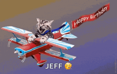 Happy Birthday Cat GIF
