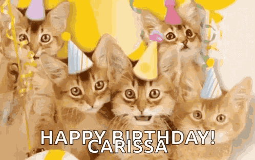 Happy Birthday Cat GIF