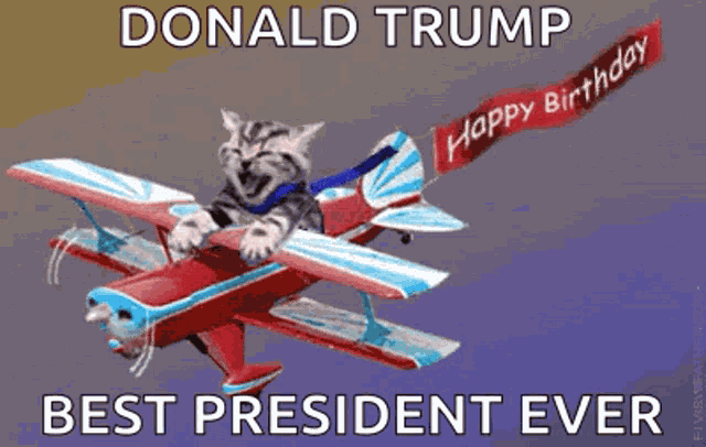 Happy Birthday Cat GIF