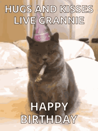 Happy Birthday Cat GIF