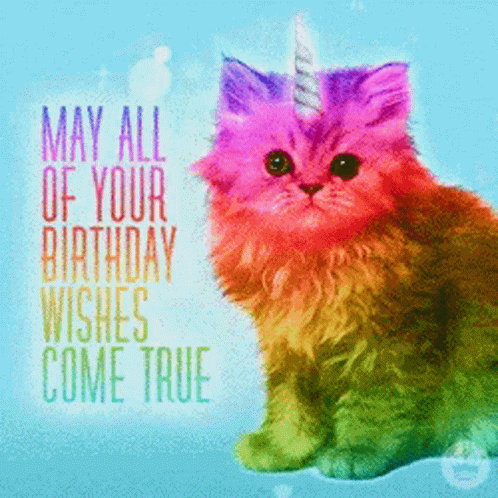 Happy Birthday Cat GIF