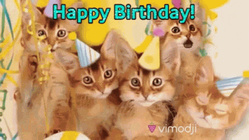 Happy Birthday Cats GIF