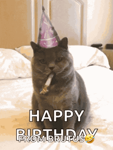Happy Birthday Celebrate GIF