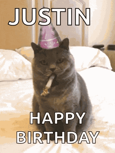 Happy Birthday Celebrate GIF