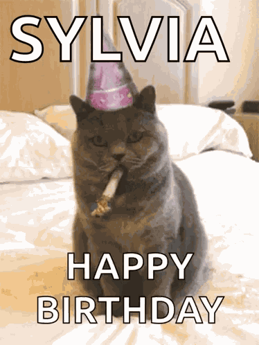 Happy Birthday Celebrate GIF