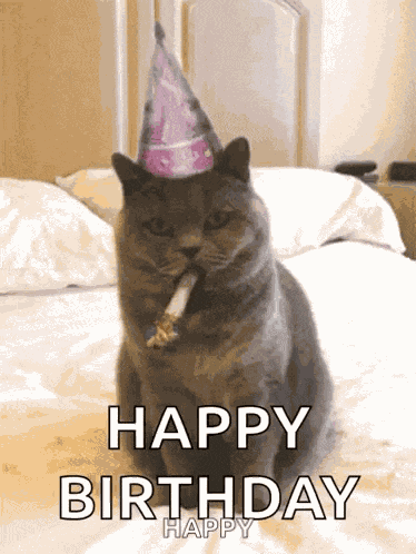 Happy Birthday Celebrate GIF