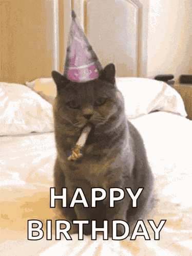 Happy Birthday Celebrate GIF
