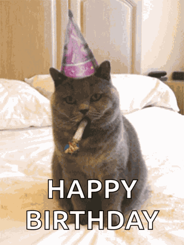 Happy Birthday Celebrate GIF