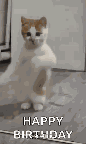 Happy Birthday GIF