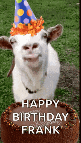 Happy Birthday GIF