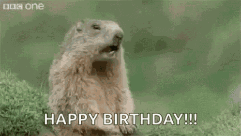 Happy Birthday GIF