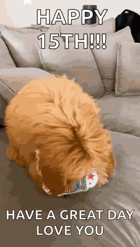 Happy Birthday Dance Happy Birthday To You GIF