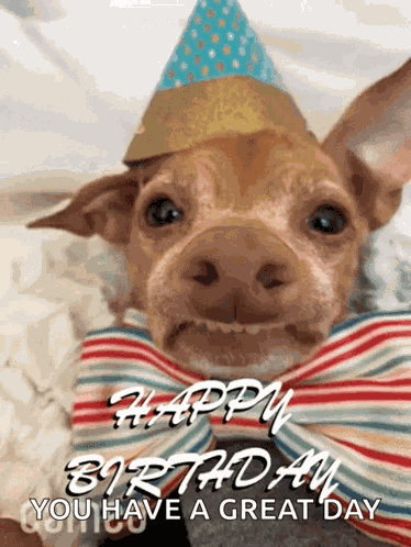 Happy Birthday GIF