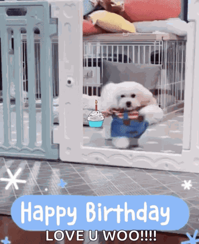 Happy Birthday Dog GIF