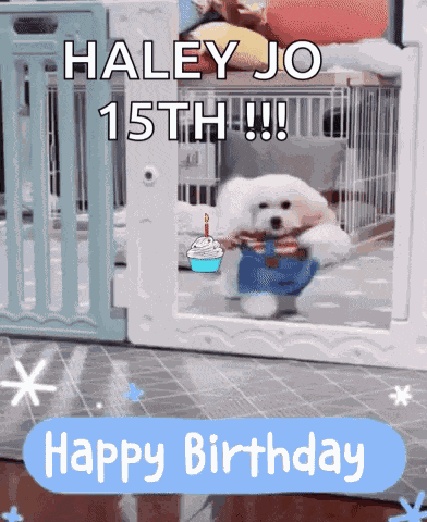 Happy Birthday Dog GIF