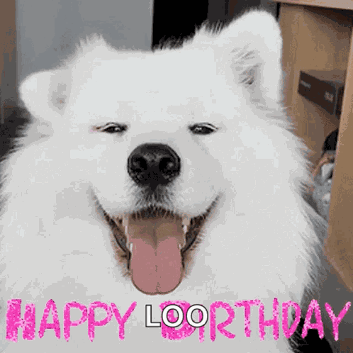 Happy Birthday Dog GIF