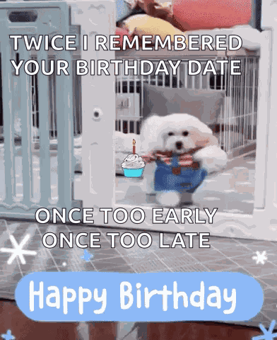 Happy Birthday Dog GIF