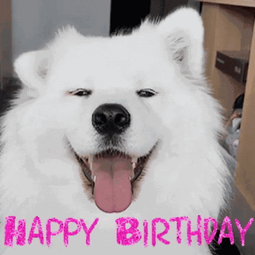 Happy Birthday Dog GIF