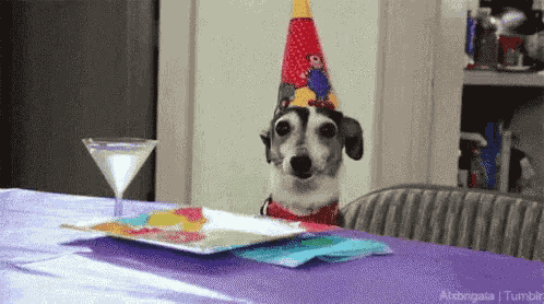 Happy Birthday Dog GIF