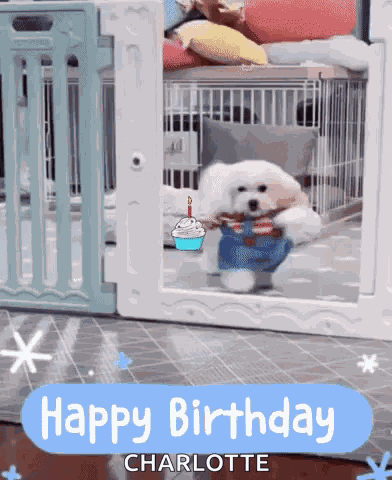 Happy Birthday Dog GIF