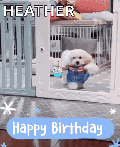 Happy Birthday Dog GIF