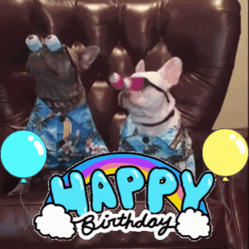 Happy Birthday Dogs Googly Eyes GIF