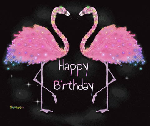 Happy Birthday Flamingo GIF