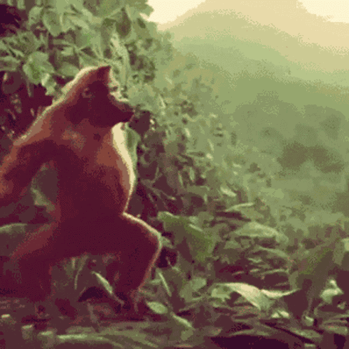 Happy Birthday GIF