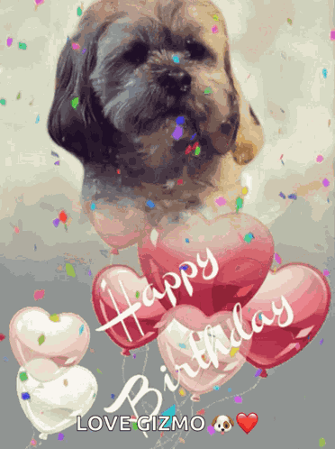 Happy Birthday GIF