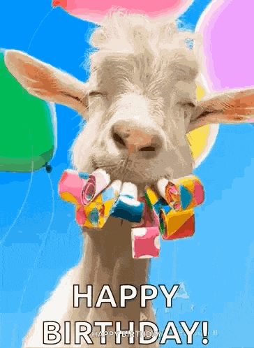 Happy Birthday GIF