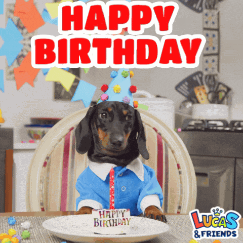 Happy Birthday Happy Bday GIF
