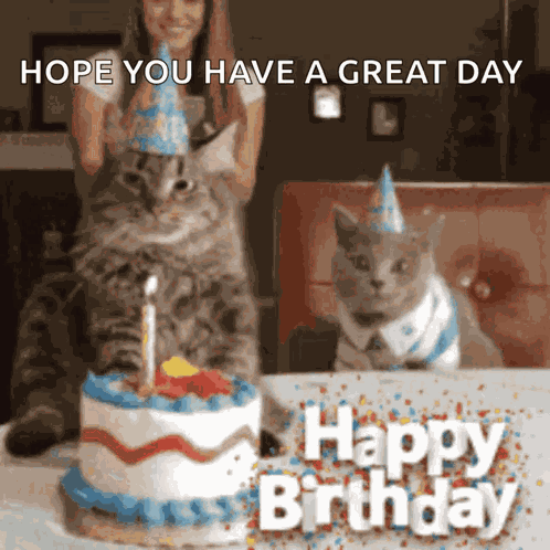 Happy Birthday Happy Birthday Cat GIF