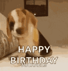 Happy Birthday Happy Birthday Friend GIF