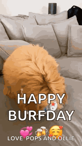 Happy Birthday Happy GIF