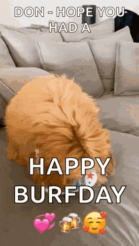 Happy Birthday Happy GIF