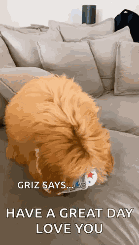 Happy Birthday Happy GIF