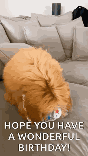 Happy Birthday Happy GIF