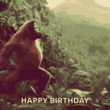 Happy Birthday Happybirthday GIF