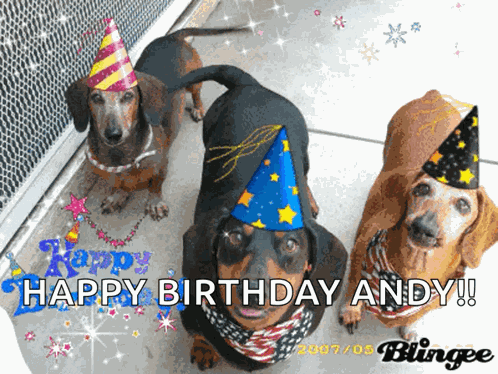 Happy Birthday Hbd GIF