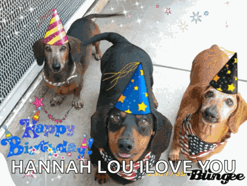 Happy Birthday Hbd GIF
