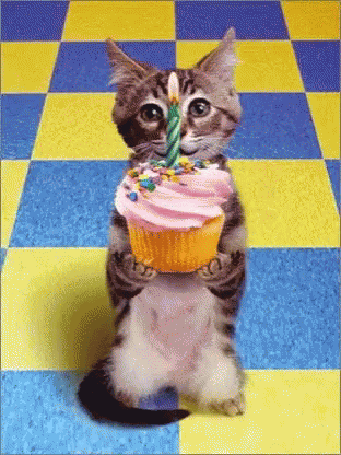 Happy Birthday Hbd GIF