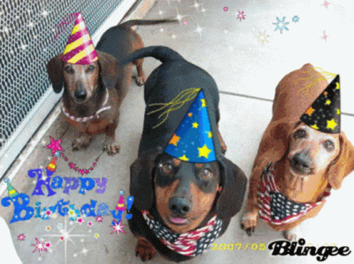 Happy Birthday Hbd GIF