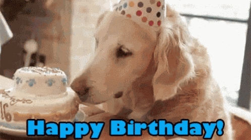 Happy Birthday GIF