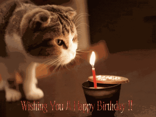Happy Birthday GIF