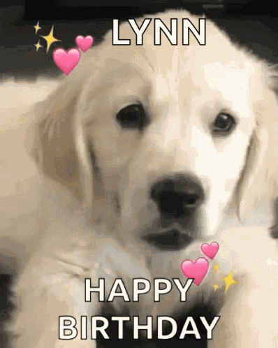 Happy Birthday GIF